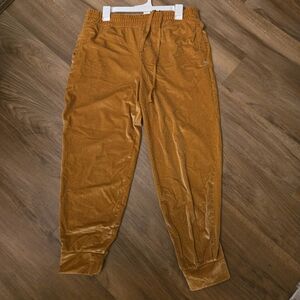 Fabletics Womens Velour Joggers In XL Like New